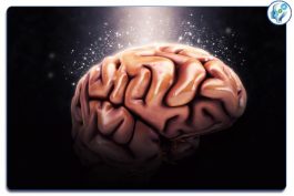 ضمیر ناخودآگاه چگونه ما را برنامه ریزی میکند- آکادمیک nlp