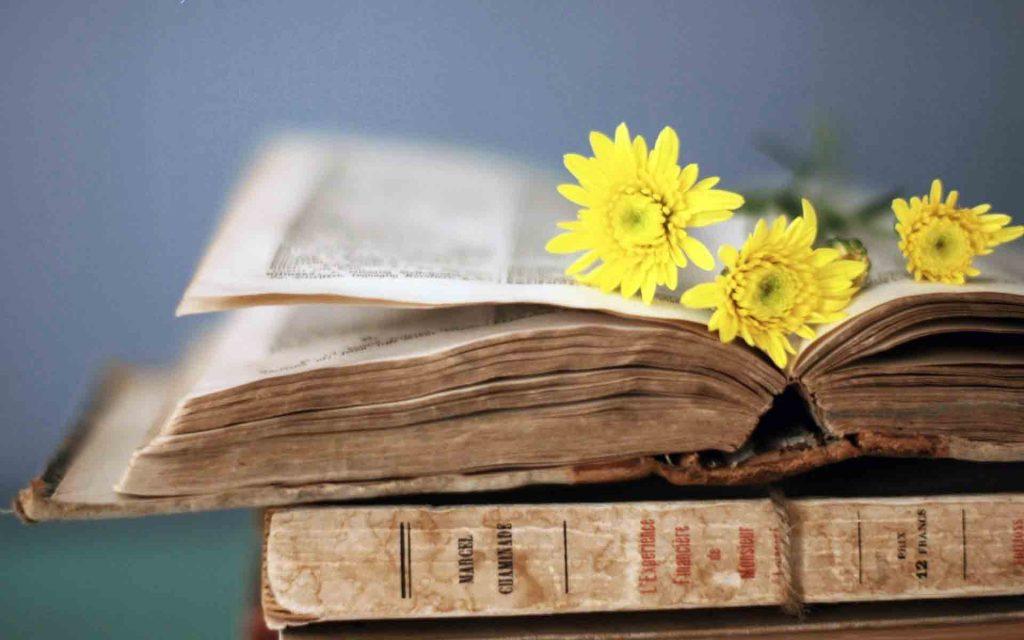 Yellow flowers on the old book scaled
