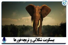 پادکست آموزشیnlp-1