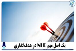 یک اصل مهم nlp در هدفگذاری