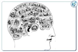 فرایند تغییر خاطره در nlp 143 فرآیند تغییر خاطره در nlp