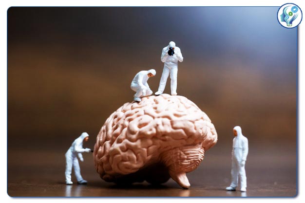 چارچوب‌های ان ال پی